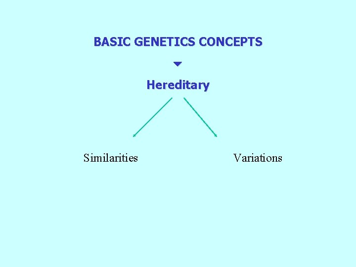 BASIC GENETICS CONCEPTS Hereditary Similarities Variations 