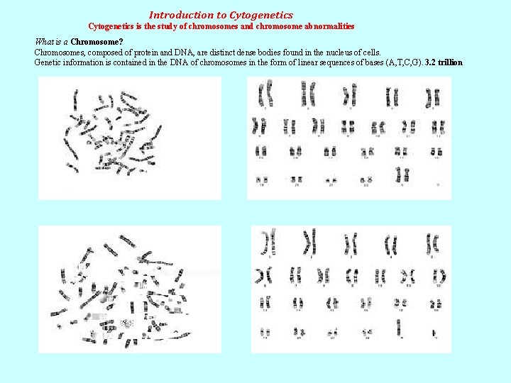 Introduction to Cytogenetics is the study of chromosomes and chromosome abnormalities What is a