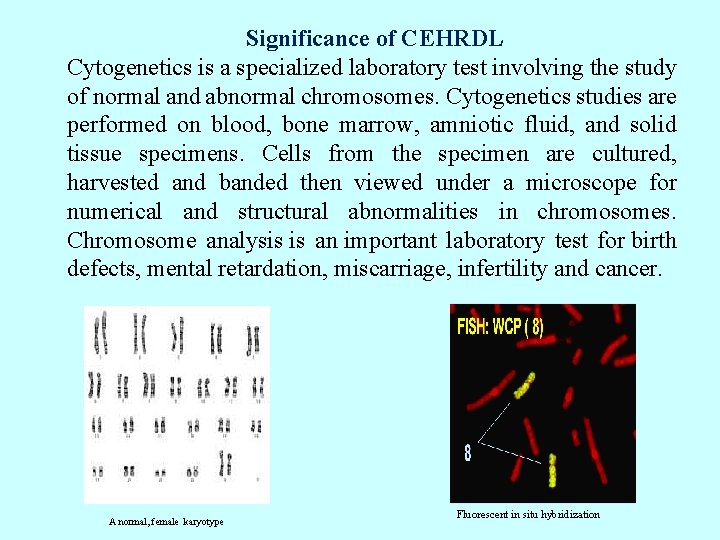 Significance of CEHRDL Cytogenetics is a specialized laboratory test involving the study of normal