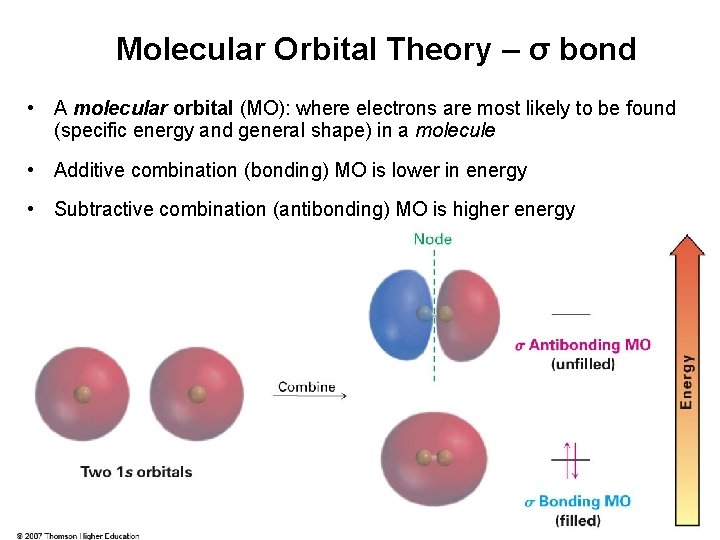 Molecular Orbital Theory – σ bond • A molecular orbital (MO): where electrons are