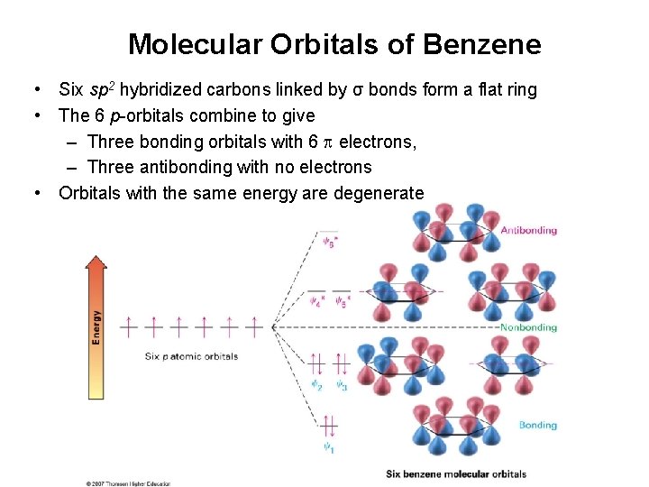 Molecular Orbitals of Benzene • Six sp 2 hybridized carbons linked by σ bonds
