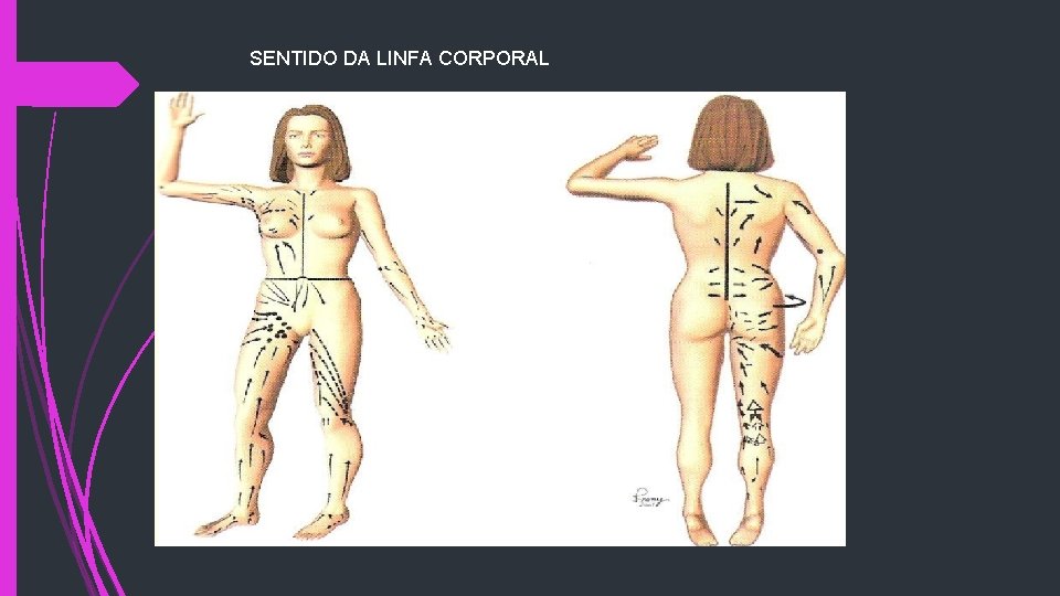 SENTIDO DA LINFA CORPORAL 