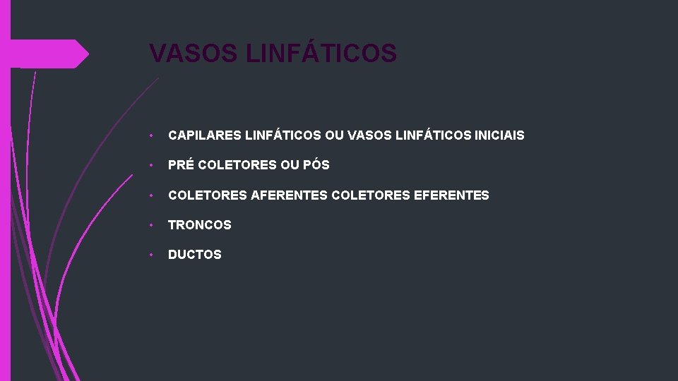 VASOS LINFÁTICOS • CAPILARES LINFÁTICOS OU VASOS LINFÁTICOS INICIAIS • PRÉ COLETORES OU PÓS