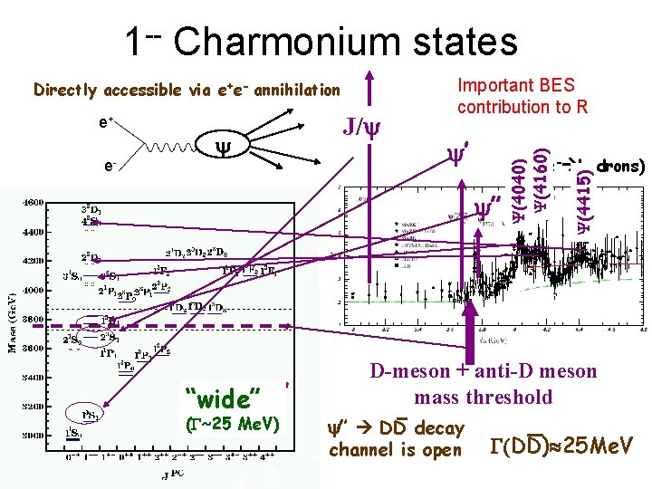 1 -- Charmonium states e- y J/y y’ s(e+e- hadrons) y” “narrow” “wide” (G~300