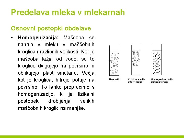 Predelava mleka v mlekarnah Osnovni postopki obdelave • Homogenizacija: Maščoba se nahaja v mleku