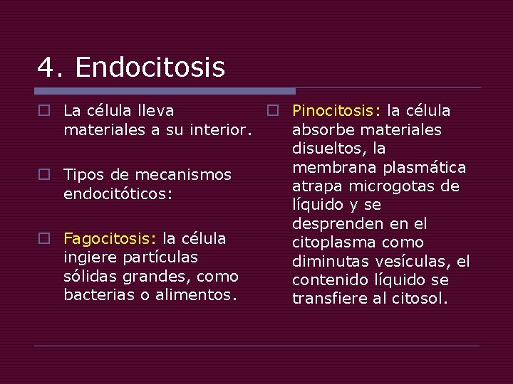4. Endocitosis o La célula lleva o Pinocitosis: la célula materiales a su interior.