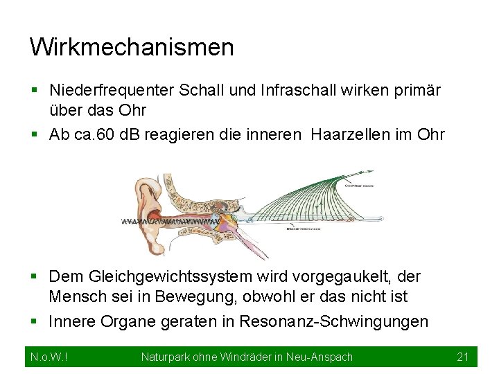 Wirkmechanismen § Niederfrequenter Schall und Infraschall wirken primär über das Ohr § Ab ca.