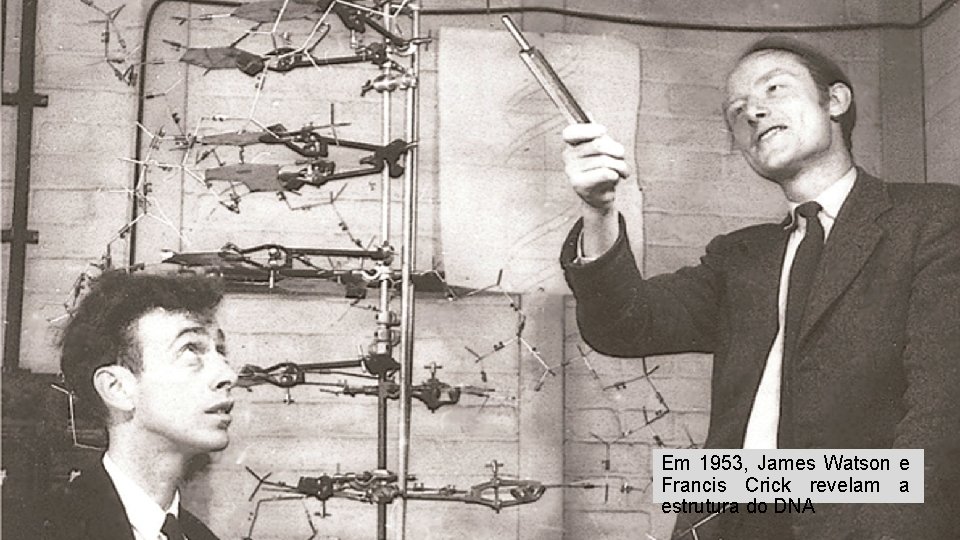 Em 1953, James Watson e Francis Crick revelam a estrutura do DNA 