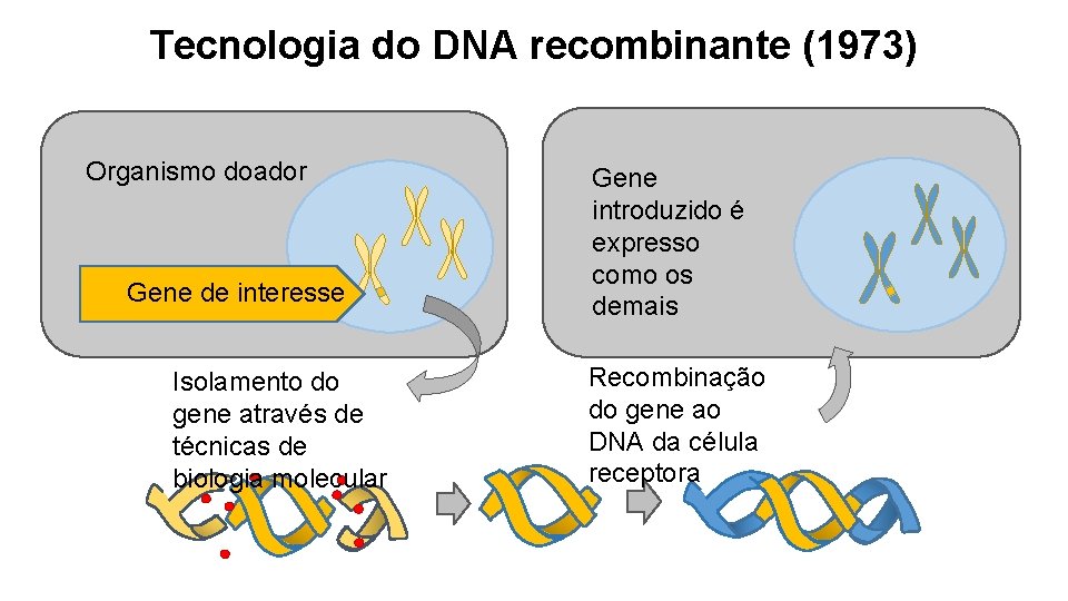 Tecnologia do DNA recombinante (1973) Organismo doador Gene de interesse Isolamento do gene através