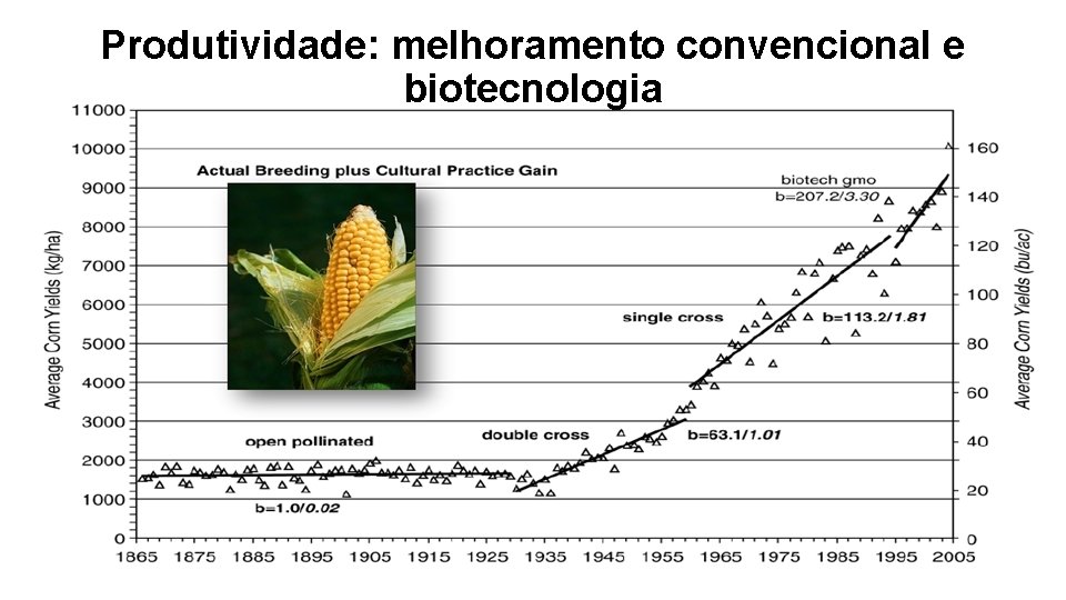 Produtividade: melhoramento convencional e biotecnologia 