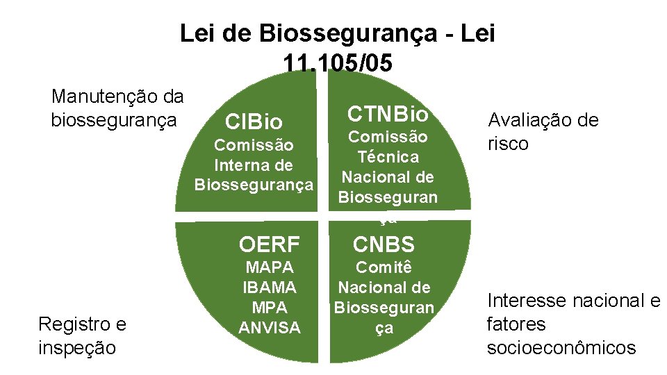 Lei de Biossegurança - Lei 11. 105/05 Manutenção da biossegurança CIBio Comissão Interna de