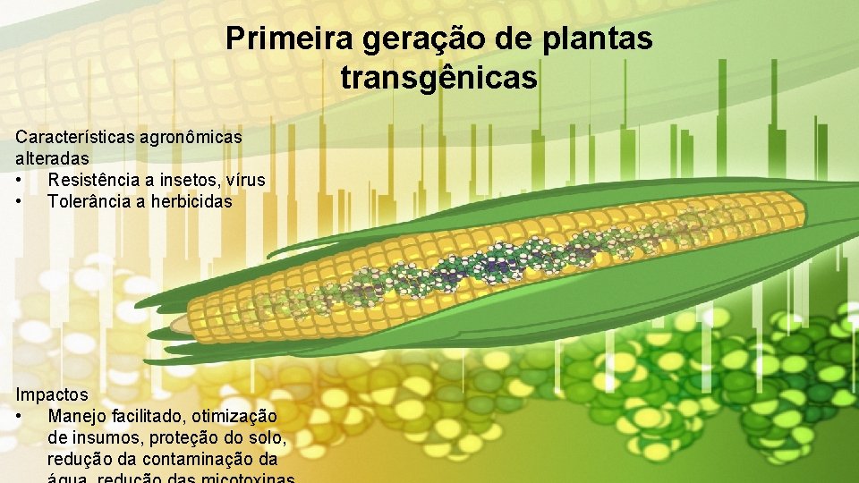 Primeira geração de plantas transgênicas Características agronômicas alteradas • Resistência a insetos, vírus •