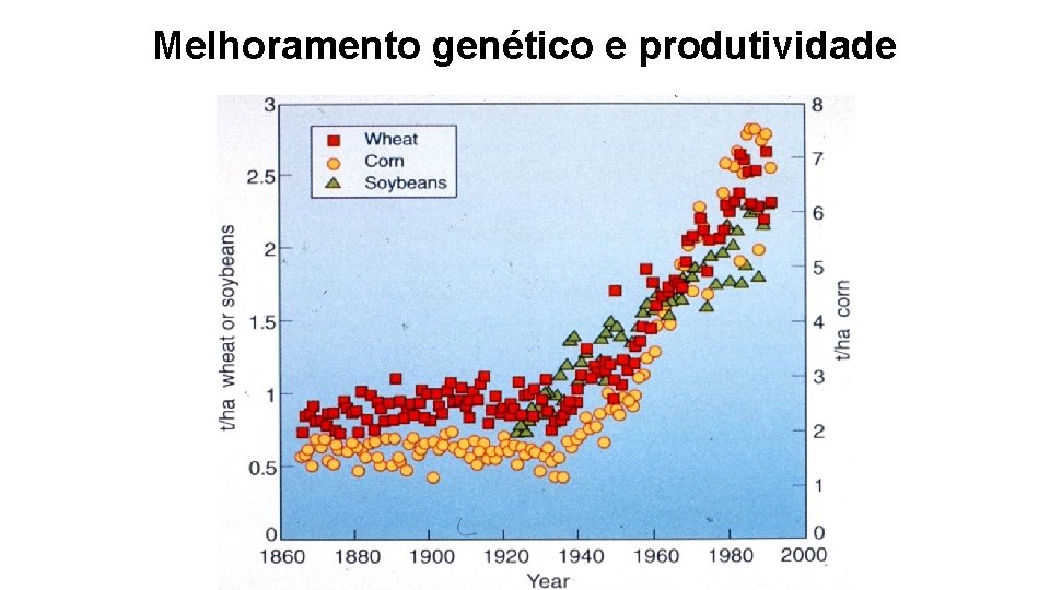 Melhoramento genético e produtividade 