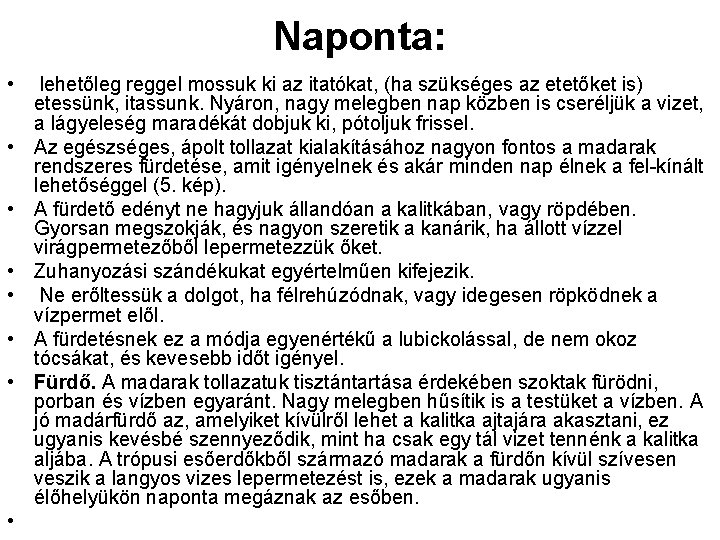 Naponta: • lehetőleg reggel mossuk ki az itatókat, (ha szükséges az etetőket is) etessünk,