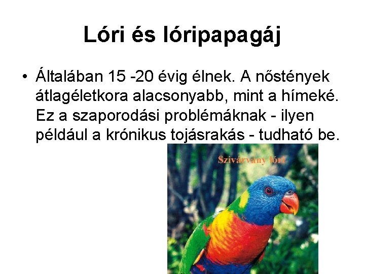 Lóri és lóripapagáj • Általában 15 20 évig élnek. A nőstények átlagéletkora alacsonyabb, mint