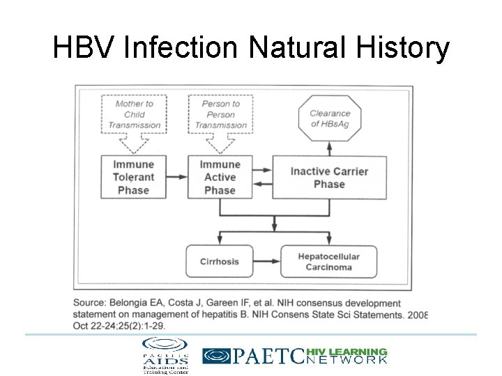 HBV Infection Natural History 