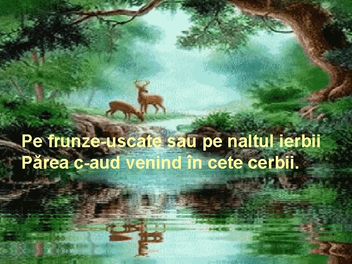 Pe frunze-uscate sau pe naltul ierbii Părea c-aud venind în cete cerbii. 