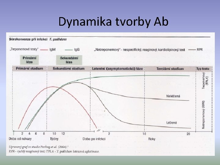 Dynamika tvorby Ab 