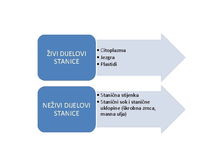 ŽIVI DIJELOVI STANICE NEŽIVI DIJELOVI STANICE • Citoplazma • Jezgra • Plastidi • Stanična