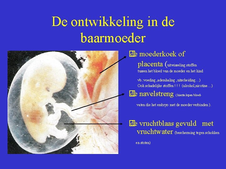 De ontwikkeling in de baarmoeder � de moederkoek of placenta (uitwisseling stoffen tussen het