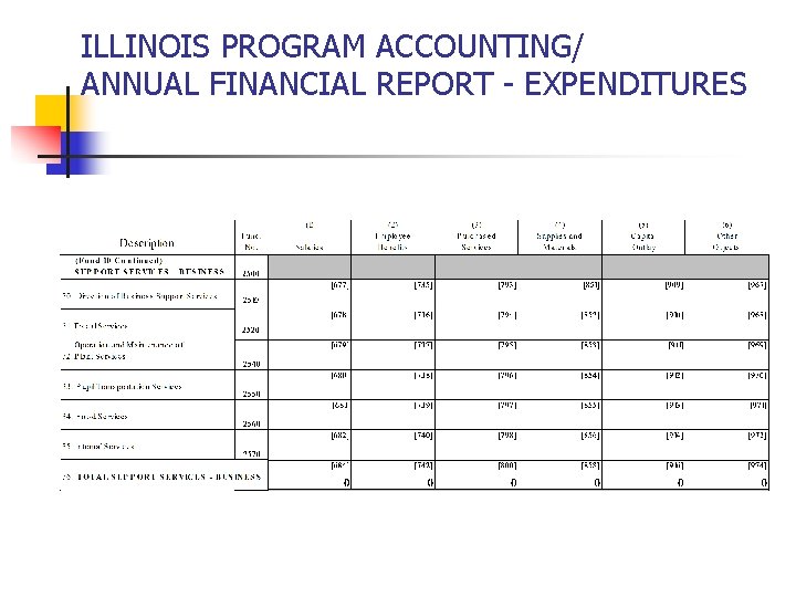 ILLINOIS PROGRAM ACCOUNTING/ ANNUAL FINANCIAL REPORT - EXPENDITURES 