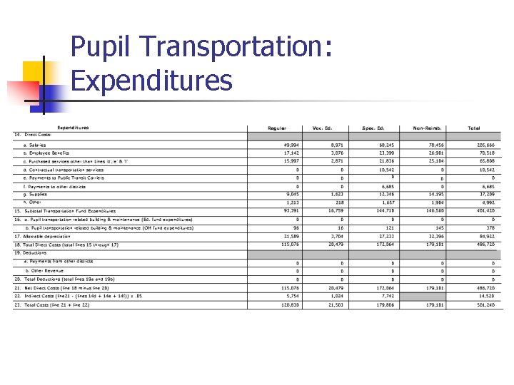 Pupil Transportation: Expenditures 
