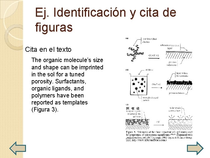 Ej. Identificación y cita de figuras Cita en el texto The organic molecule’s size