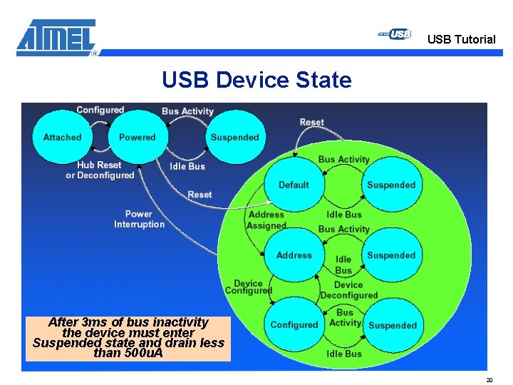 USB Tutorial USB Device State After 3 ms of bus inactivity the device must