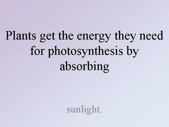 Plants get the energy they need for photosynthesis by absorbing sunlight. 