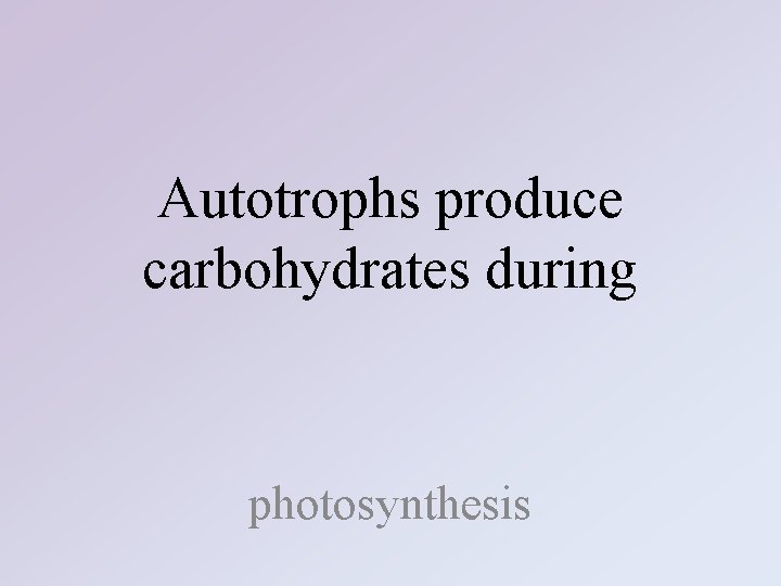 Autotrophs produce carbohydrates during photosynthesis 