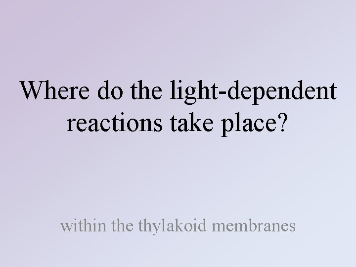 Where do the light-dependent reactions take place? within the thylakoid membranes 