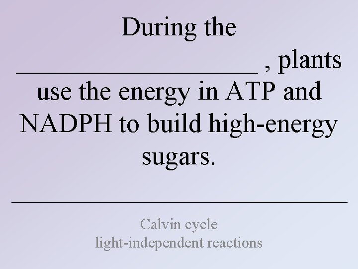 During the _________ , plants use the energy in ATP and NADPH to build