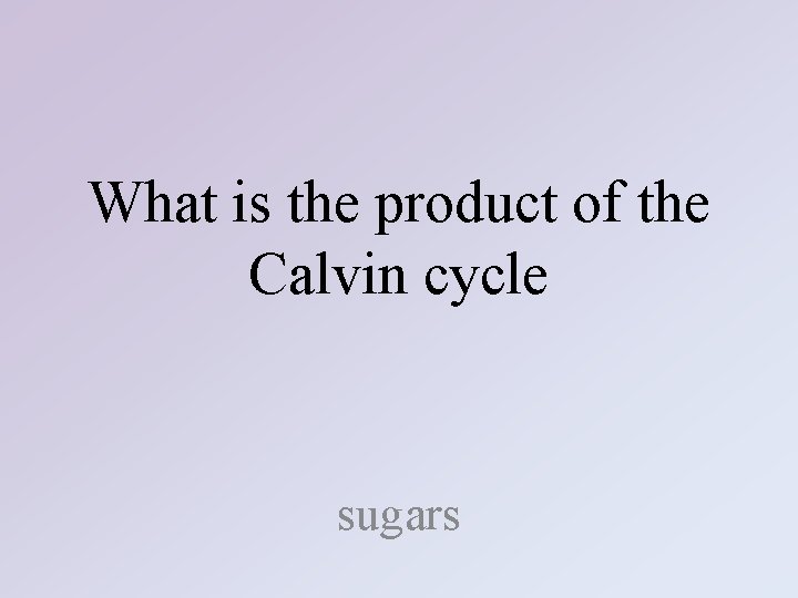 What is the product of the Calvin cycle sugars 