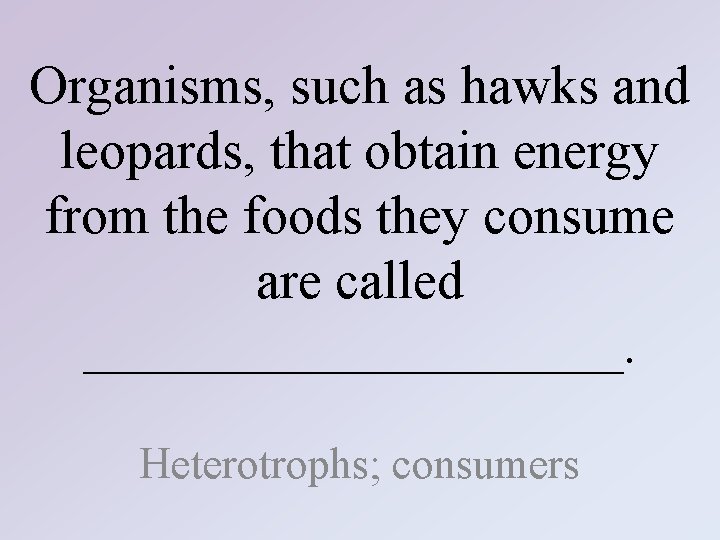 Organisms, such as hawks and leopards, that obtain energy from the foods they consume