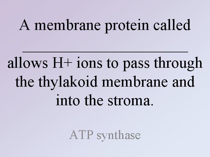 A membrane protein called ___________ allows H+ ions to pass through the thylakoid membrane