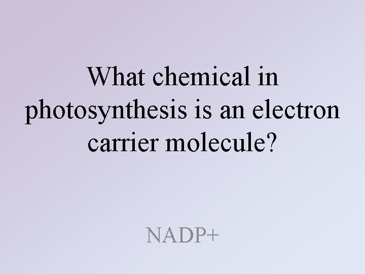 What chemical in photosynthesis is an electron carrier molecule? NADP+ 
