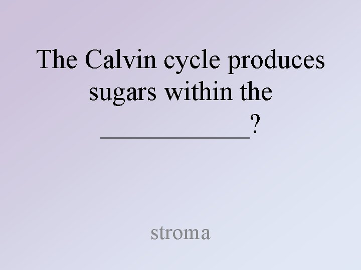 The Calvin cycle produces sugars within the ______? stroma 