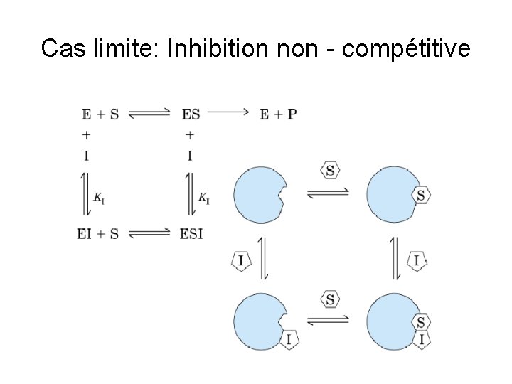 Cas limite: Inhibition non - compétitive 