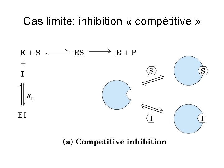 Cas limite: inhibition « compétitive » 