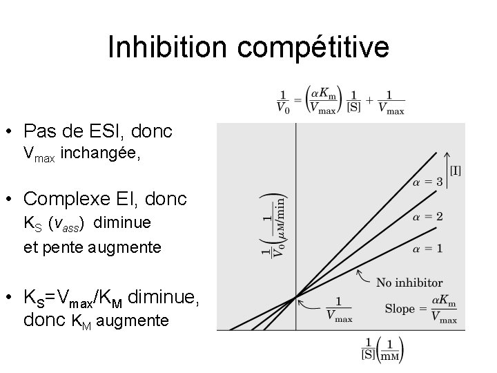 Inhibition compétitive • Pas de ESI, donc Vmax inchangée, • Complexe EI, donc KS