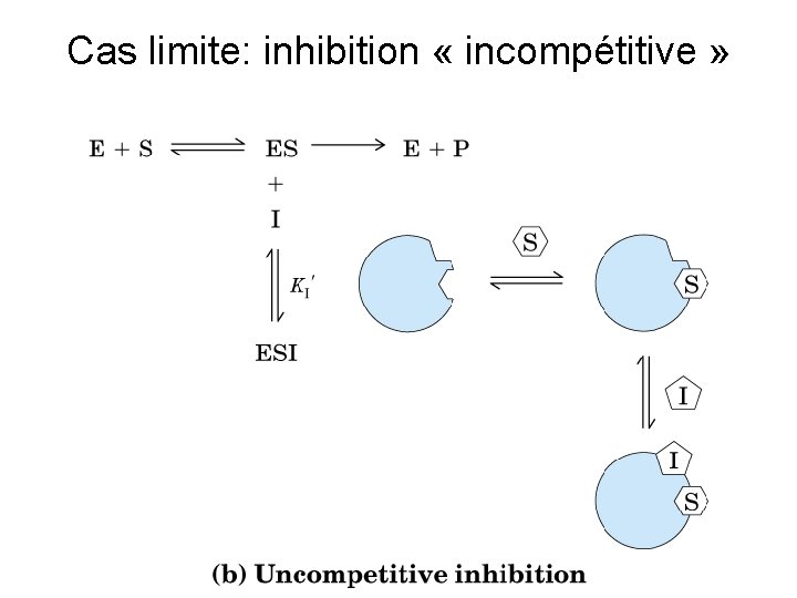 Cas limite: inhibition « incompétitive » 