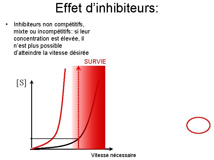 Effet d’inhibiteurs: • Inhibiteurs non compétitifs, mixte ou incompétitifs: si leur concentration est élevée,