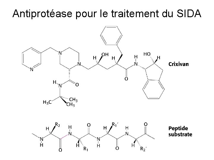 Antiprotéase pour le traitement du SIDA 