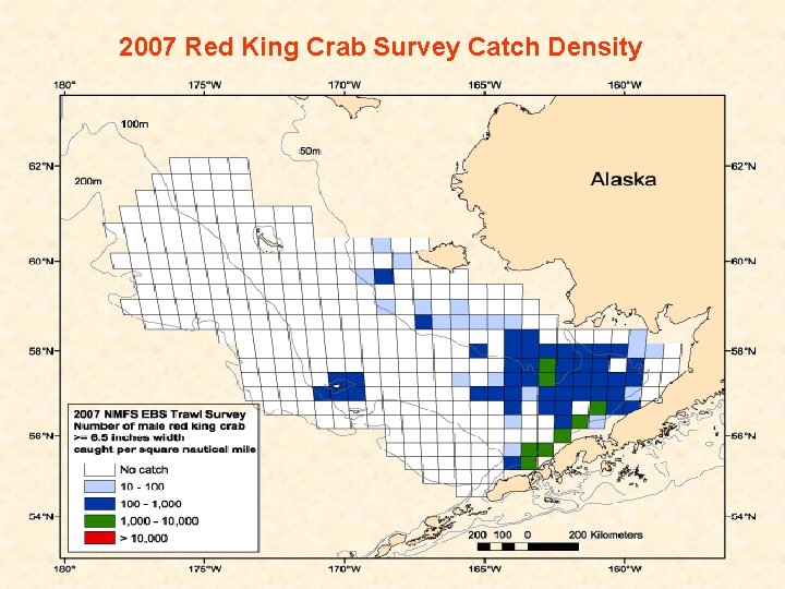 2007 Red King Crab Survey Catch Density 