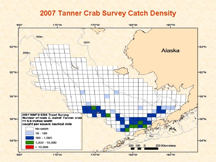 2007 Tanner Crab Survey Catch Density 