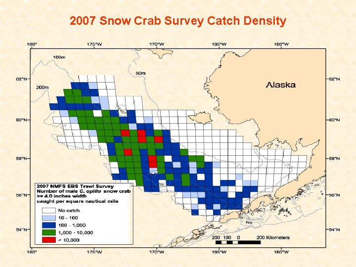 2007 Snow Crab Survey Catch Density 