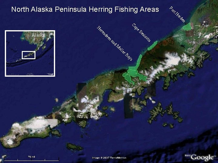 North Alaska Peninsula Herring Fishing Areas Alaska CCaa HH er e ppee enre SSee