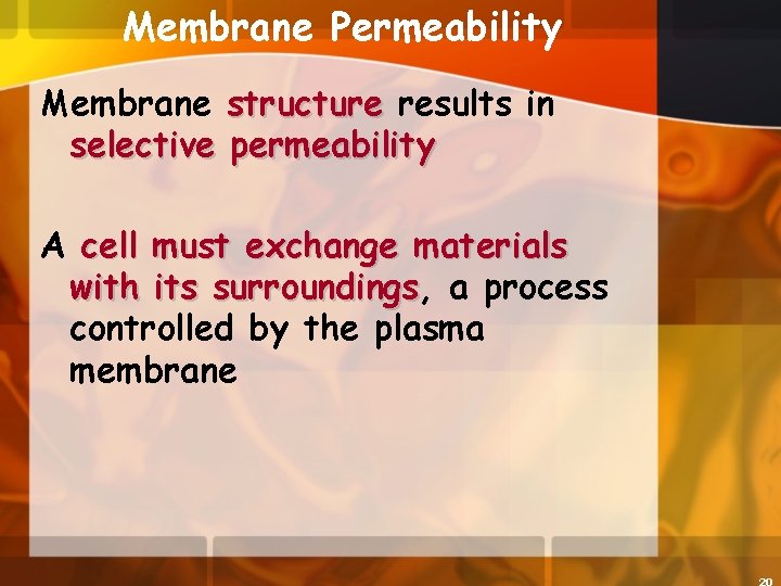 Membrane Permeability Membrane structure results in selective permeability A cell must exchange materials with