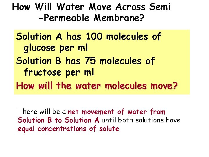 How Will Water Move Across Semi -Permeable Membrane? Solution A has 100 molecules of