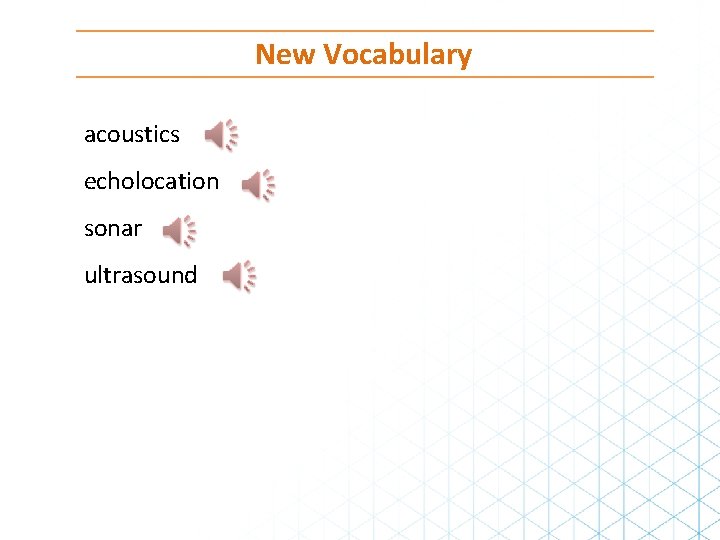 New Vocabulary acoustics echolocation sonar ultrasound 